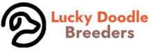 Lucky Doodle Breeder